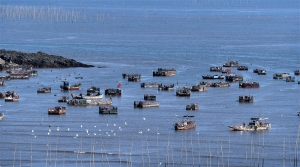 《港湾》