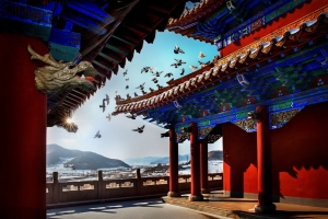 佛堂祥鸽