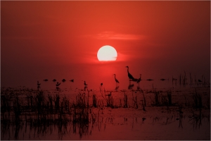 夕阳里的歌
