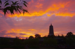 塔湾夕照