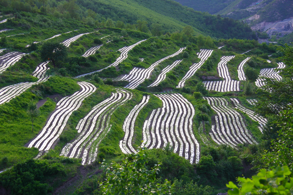 百年老酒坊