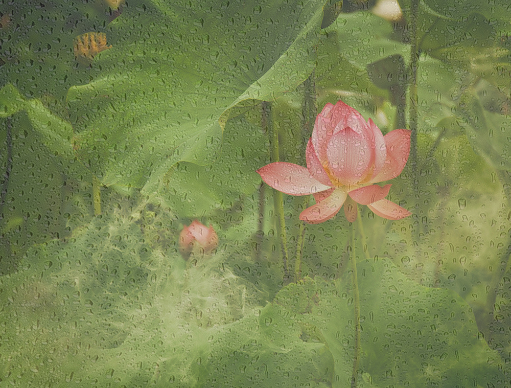 百年老酒坊