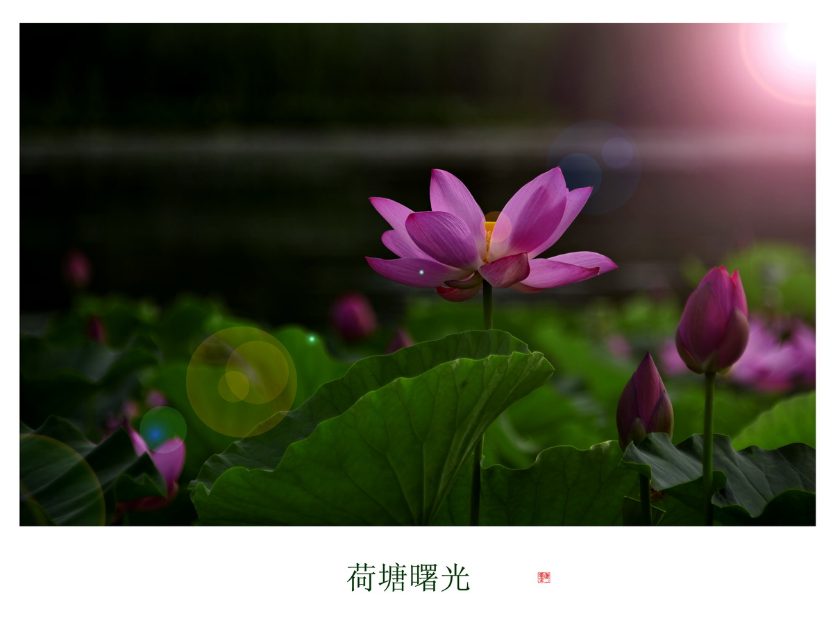 百年老酒坊