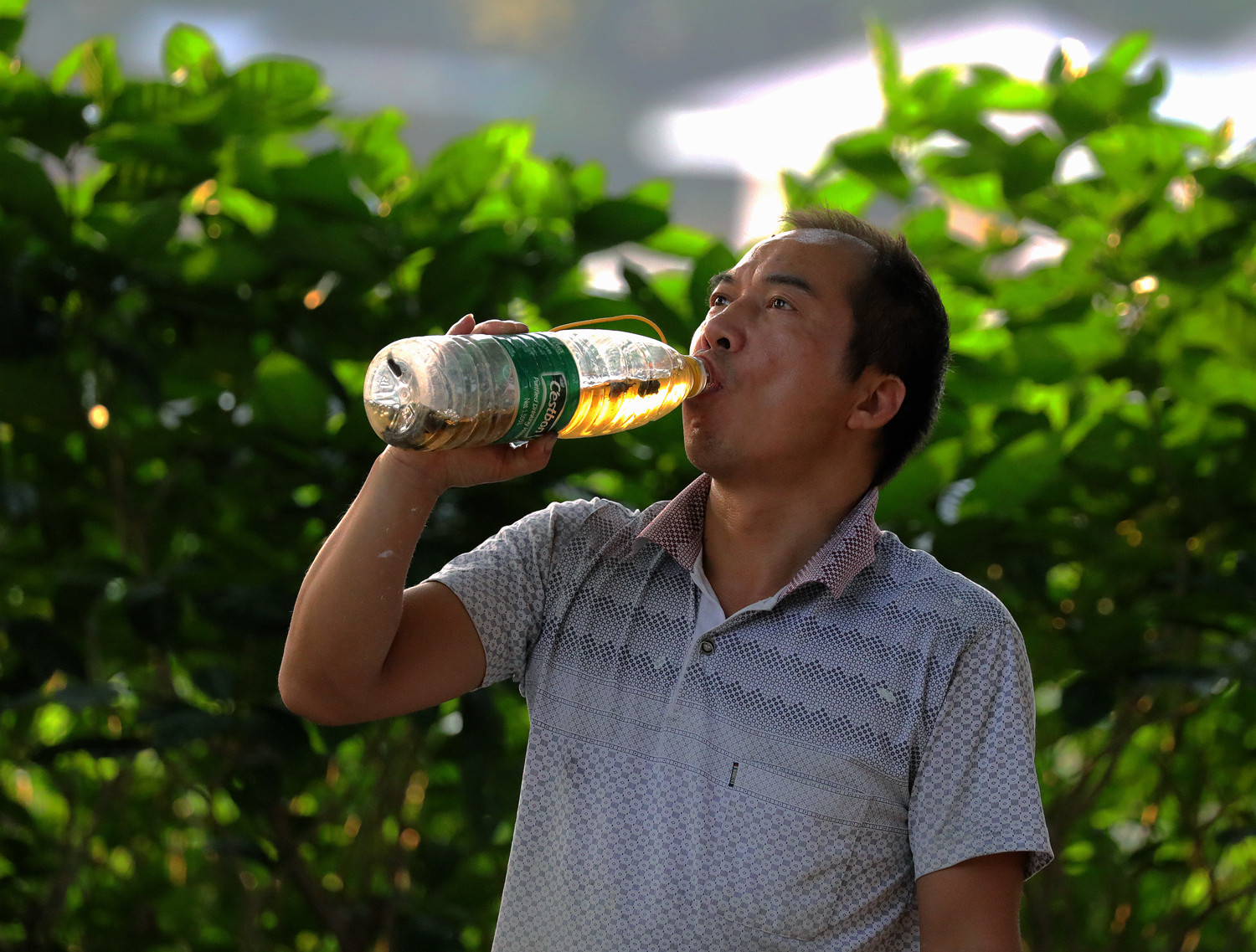 百年老酒坊