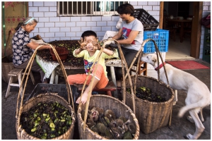 《农家乐》