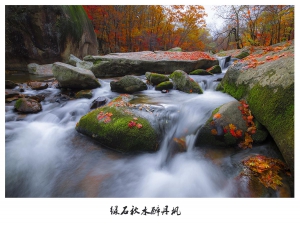 绿石秋水醉丹枫
