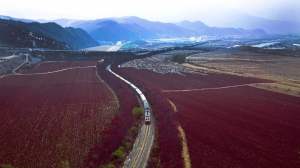 田野飞驰的列车