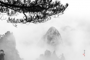 雾里看黄山