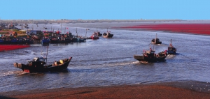 出海