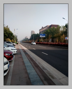 生态大道