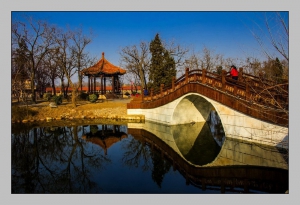 公园小景