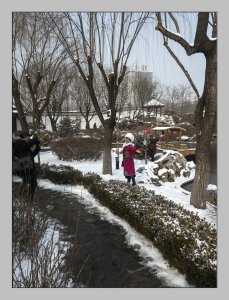 戏雪
