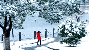 风雪俏佳人