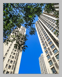高楼大厦