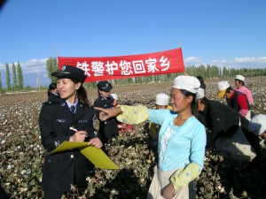 为棉农护行