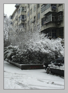 白雪皑皑