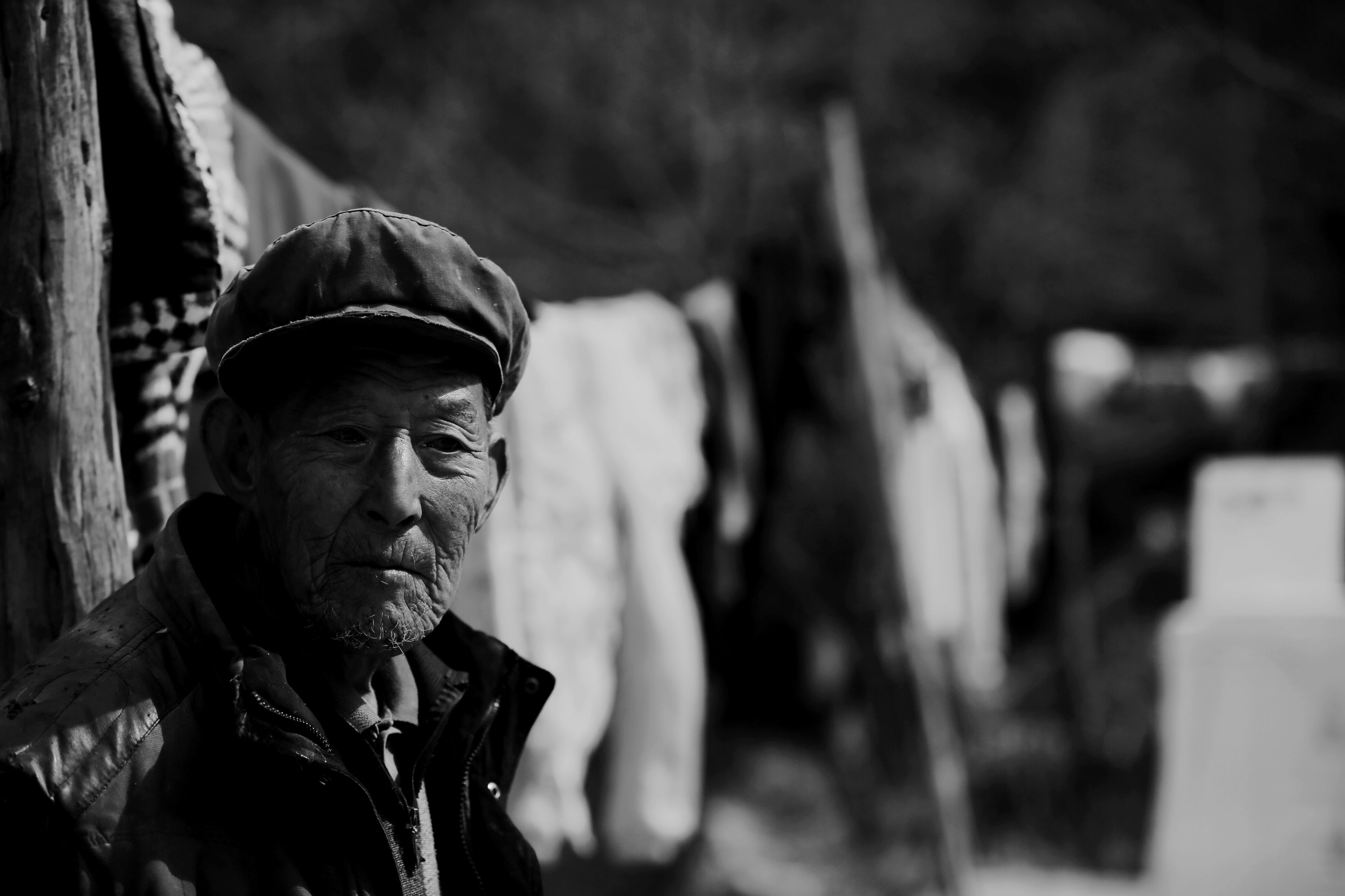 百年老酒坊