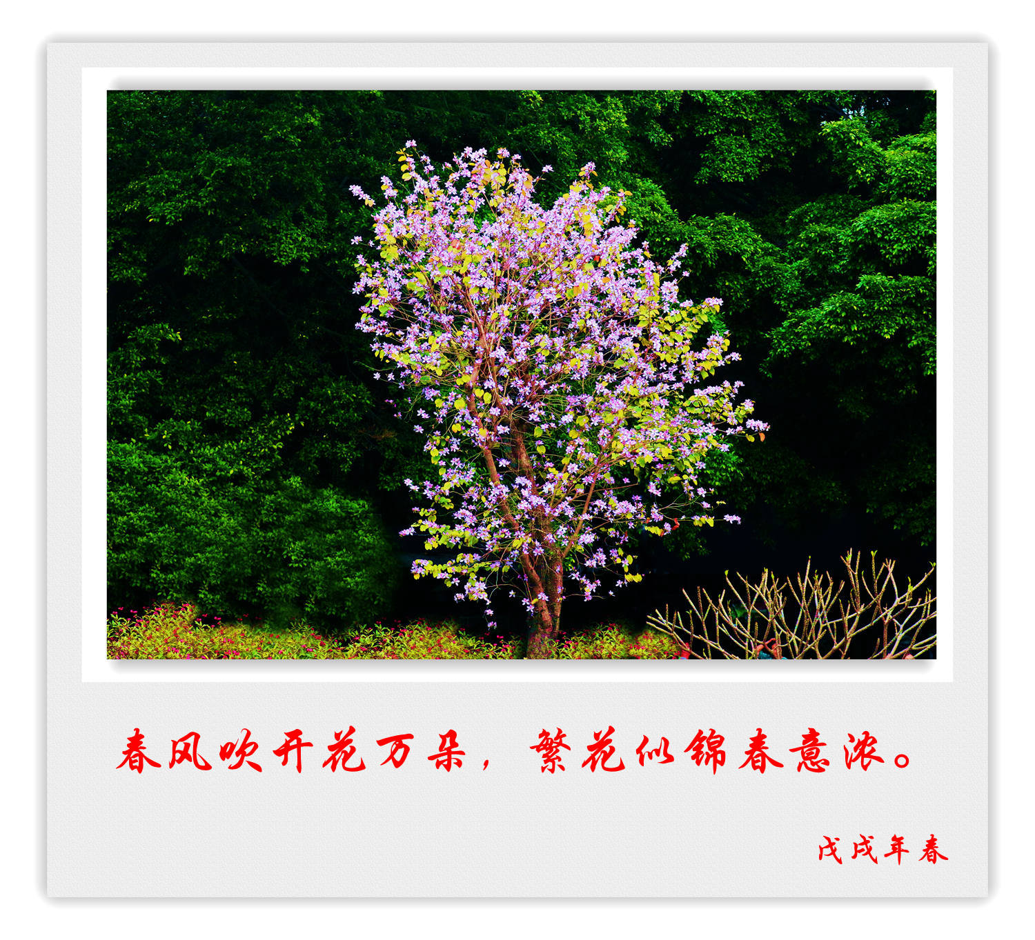 百年老酒坊