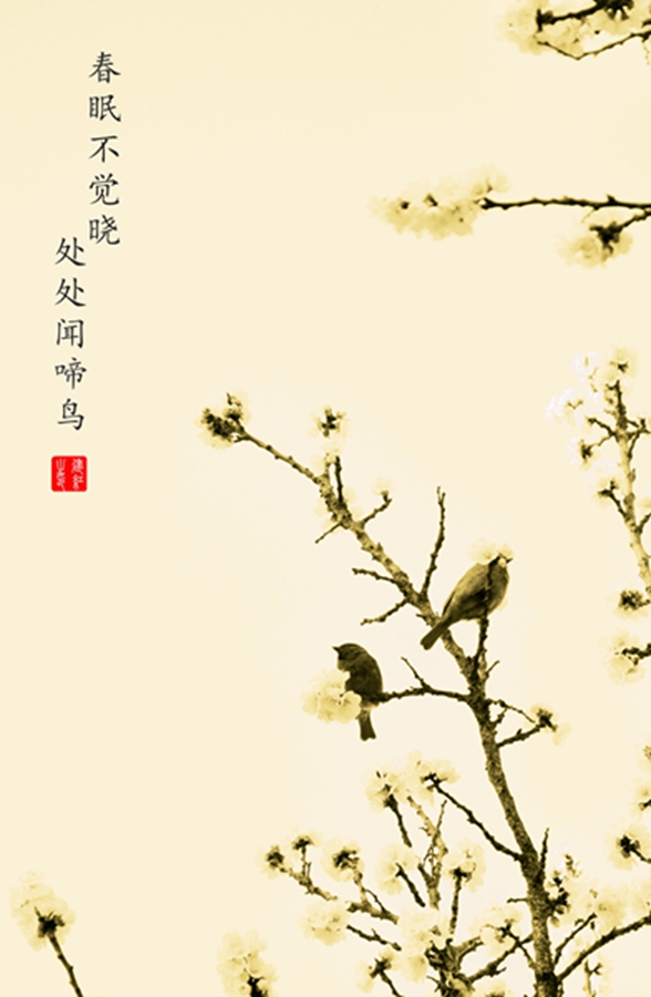 百年老酒坊