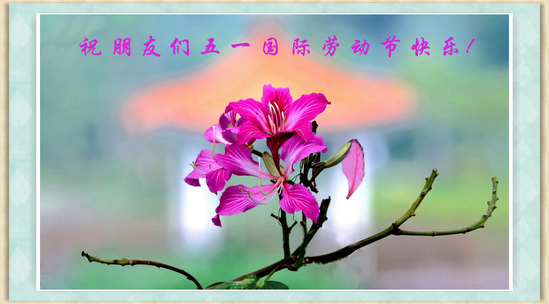 百年老酒坊