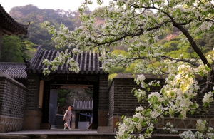 寺院之春