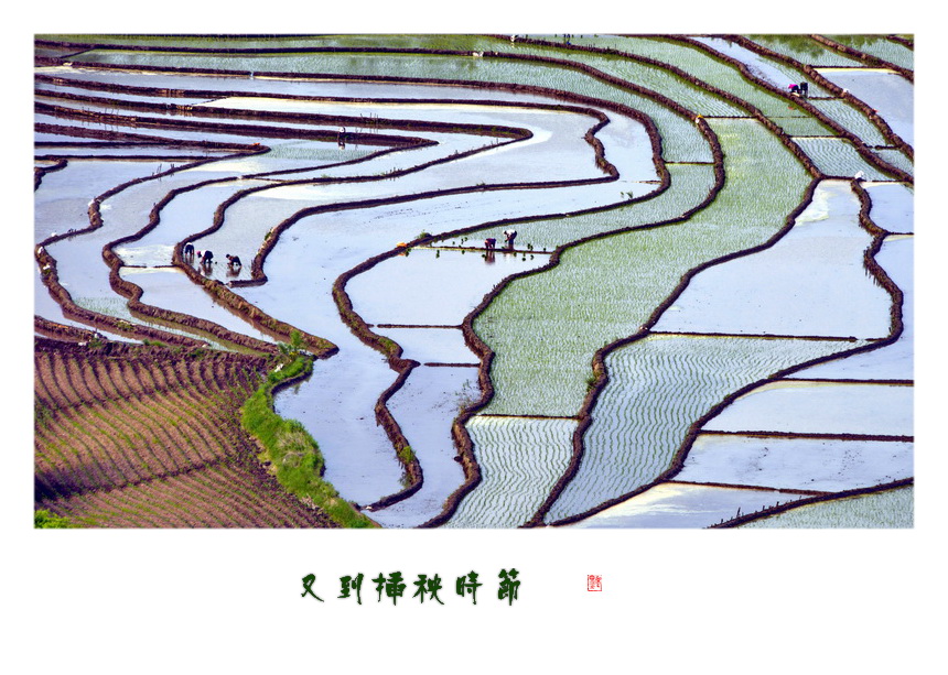 百年老酒坊