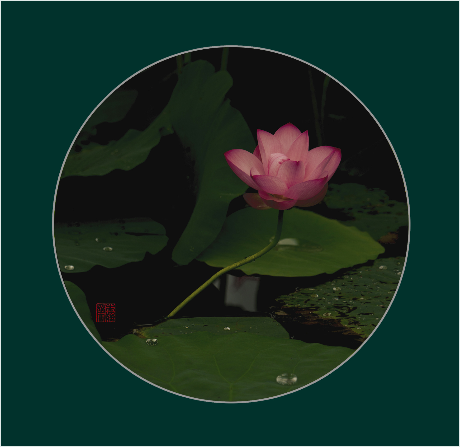 百年老酒坊