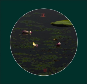 《禅境莲语》-3