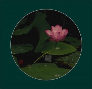 《禅境莲语》-6