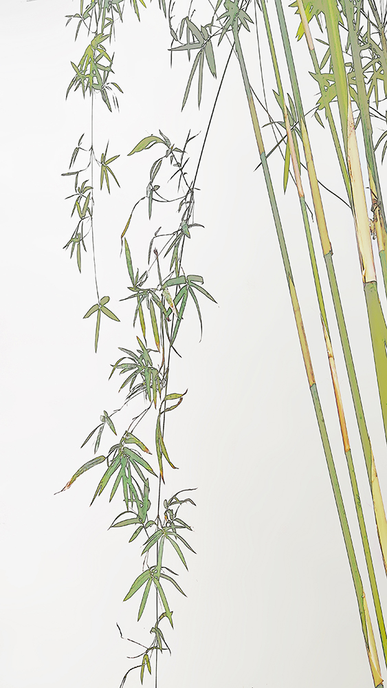 百年老酒坊