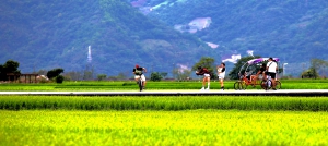 台湾乡村游