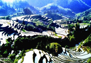 《山村梯韵》