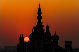 《 2019夕阳红 ...