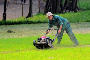园工除草