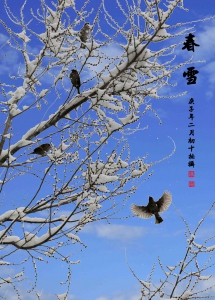 春雪