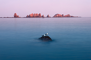 海之晨