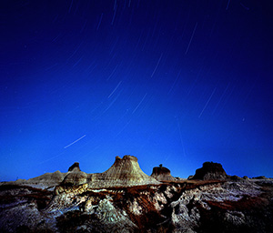 泥林星光